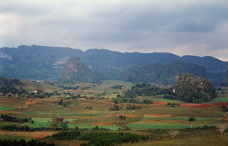 Vallée verdoyante de Viñales