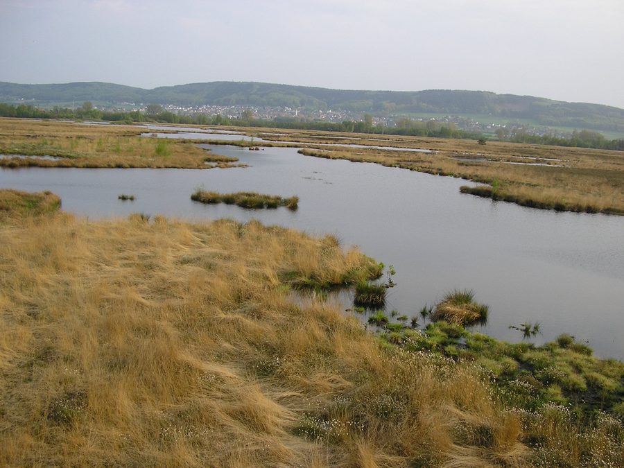 Lac du Großes Torfmoor à Lübbecke, Rhénanie-du-Nord-Westphalie