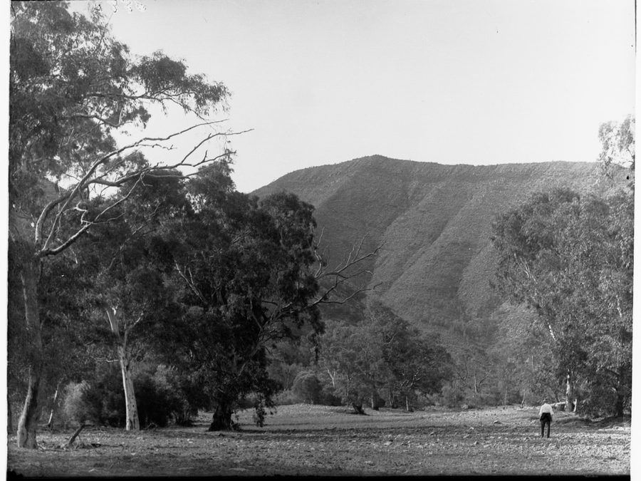 Paysage aride des Flinders Ranges à Aroona Heights près de Leigh Creek