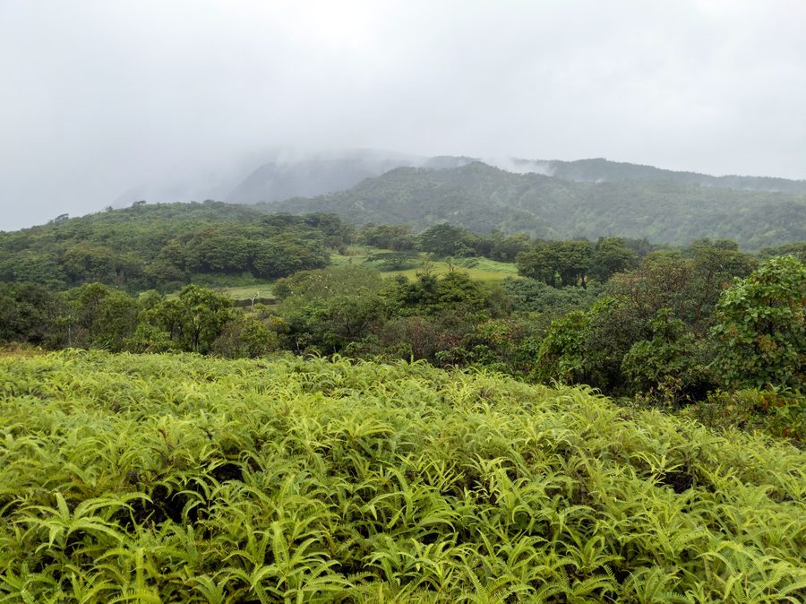 Tahiti en Polynésie française