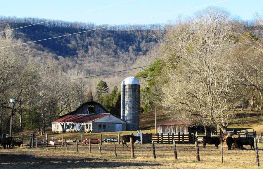 Valley View Farm à Harriman avec Walden Ridge en arrière-plan