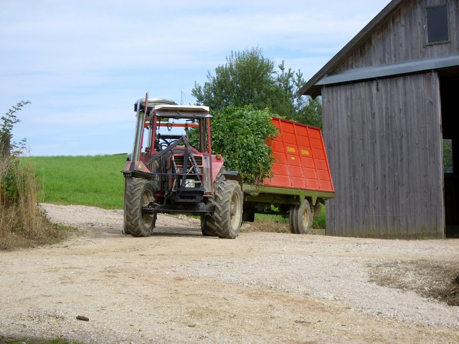 Tracteur avec arracheuse de houblon dans la Hallertau