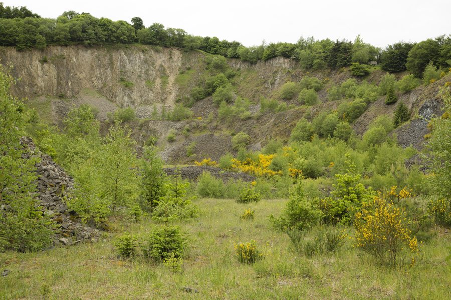Paysage printanier dans la réserve naturelle « Hochbermel » en Rhénanie-Palatinat.