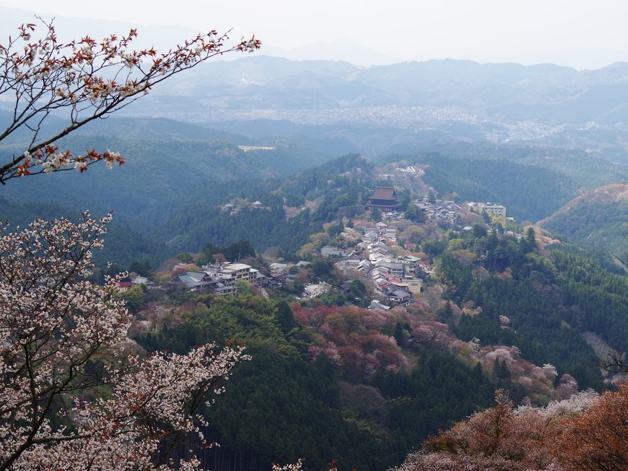 Vue sur Yoshino dans le paysage montagneux du sud