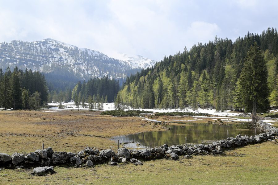 Paysage sur la Hemmersuppenalm au-dessus de Reit im Winkl