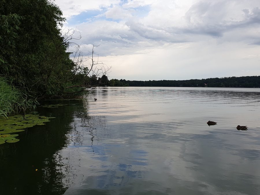 Le lac Czos près de Mrągowo dans le paysage lacustre de la Varmie-Mazurie.