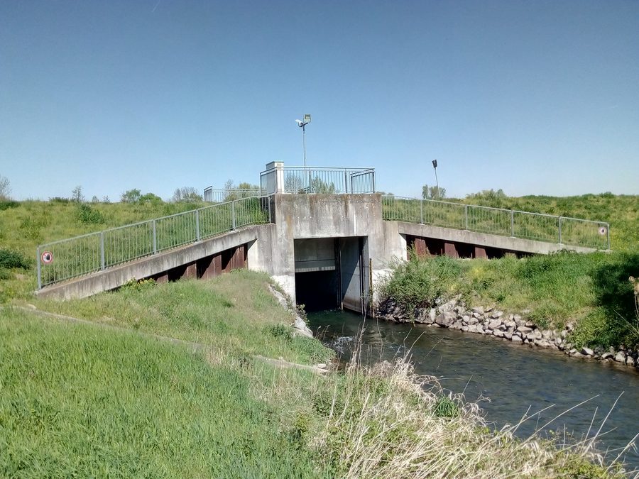 Canal de la plaine du Rhin à la sortie du polder Söllingen-Greffern près de Hügelsheim