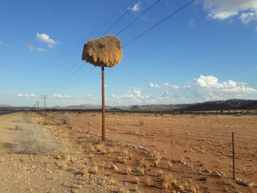 Une route mène vers l’ouest à travers le paysage sud-africain.