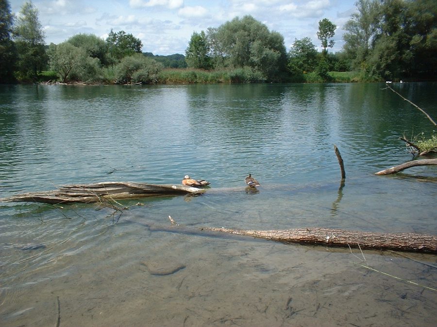 Flachsee dans le canton d'Argovie