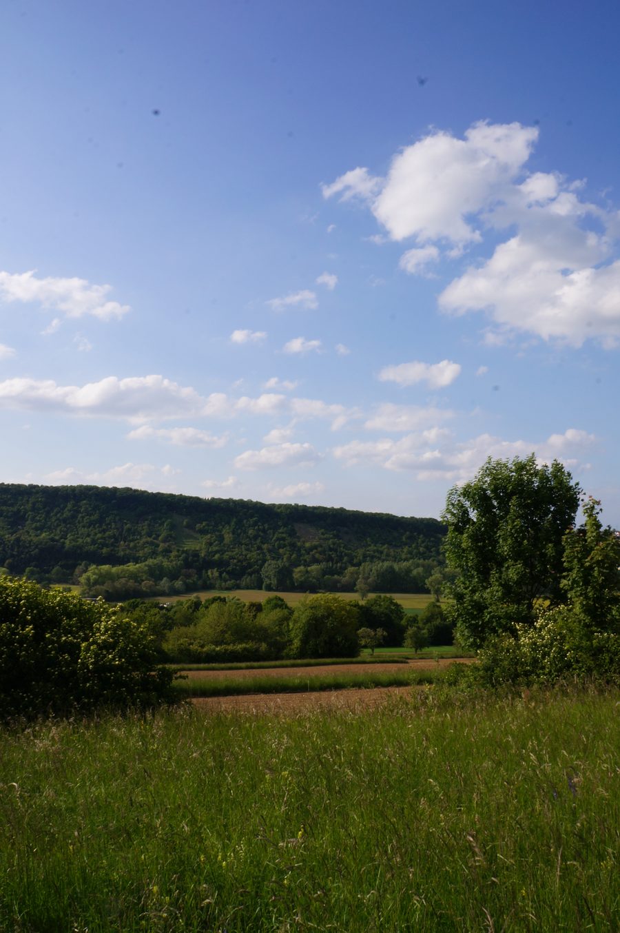 Vue sur la vallée de l’Enz entre Niefern et Mühlacker dans l’Enzkreis