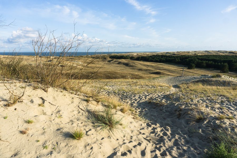 Paysage de dunes de l’isthme de Courlande sur la côte baltique de Lituanie