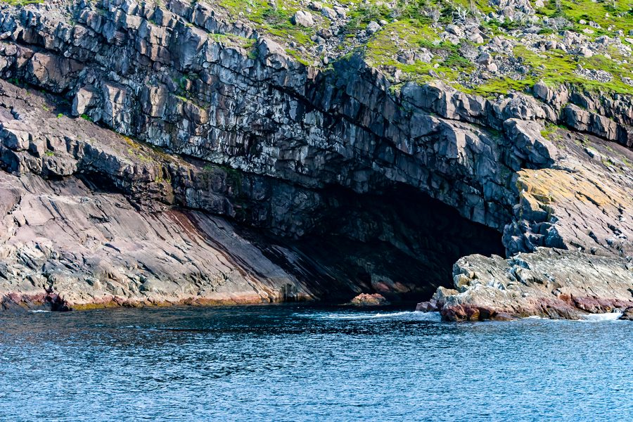 Côte rocheuse avec mer et oiseaux marins sur la péninsule d’Avalon près de St. John’s