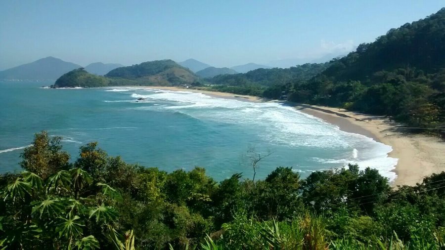 Vue sur Praia Vermelha do Norte à Ubatuba, entourée par la forêt atlantique