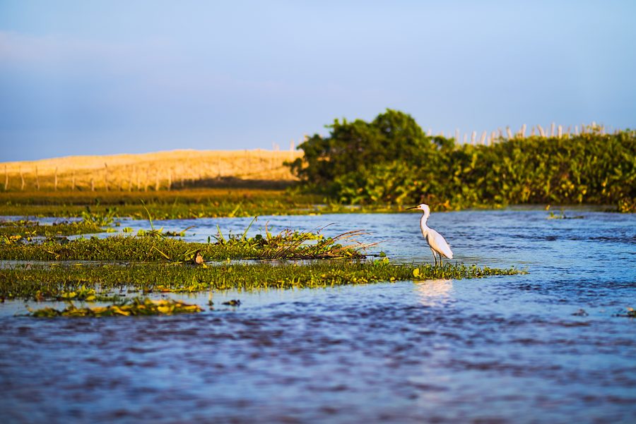 Paysage côtier dans la zone protégée de Barra de Punaú près de Rio do Fogo