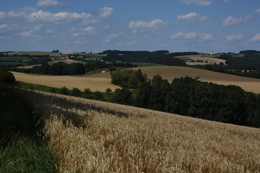 Église paroissiale et de pèlerinage Maria Schnee à Kaltenberg