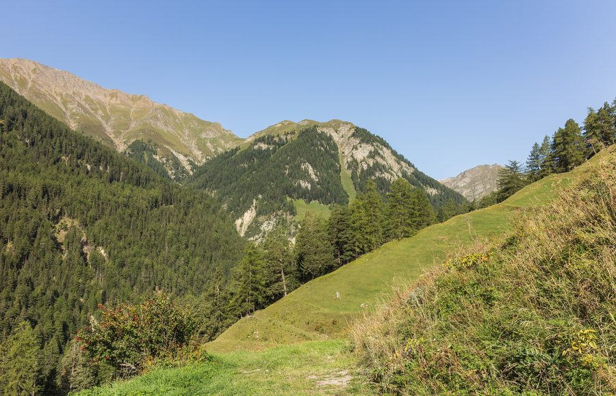 Paysage alpin et environs de Vnà dans le val d’Engadine