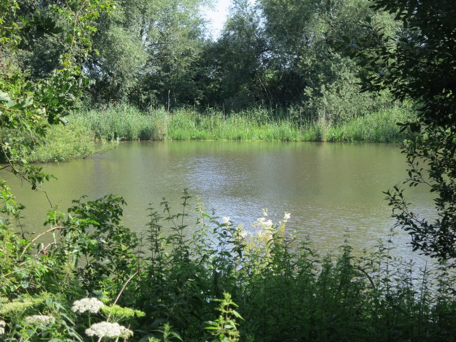 Extrémité sud-est du lac de Kirchweyher à Weyhe-Sudweyhe