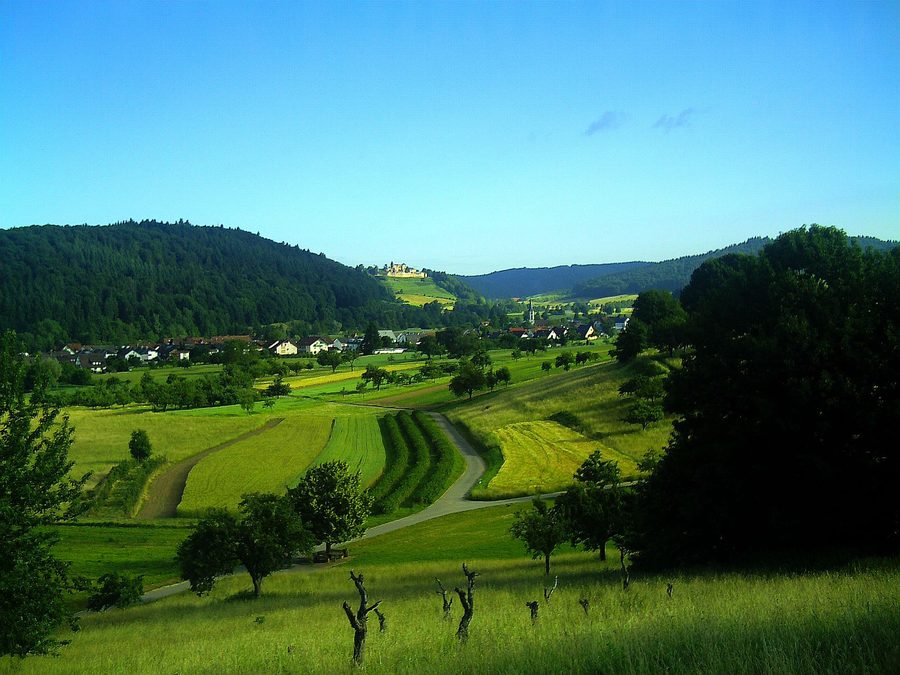 Vue de Sexau sur la Hochburg et la vallée du Rhin