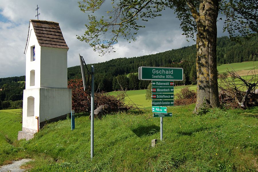 Paysage vallonné et verdoyant au Birkfelder Gschaid en Styrie