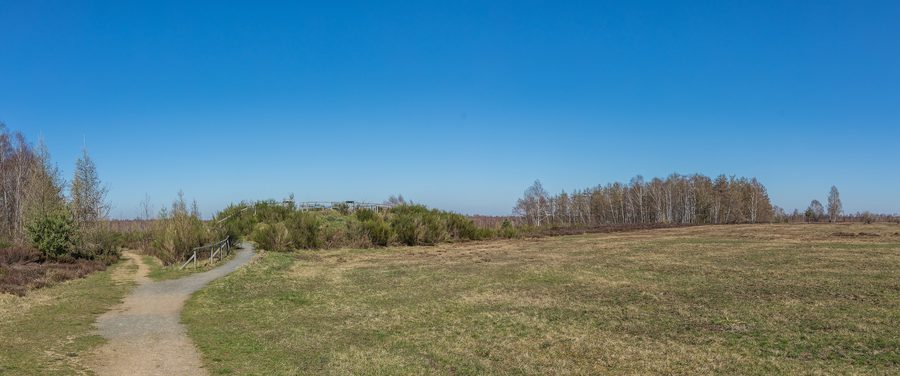 Paysage dans la réserve naturelle de Drover Heide dans l’arrondissement de Düren