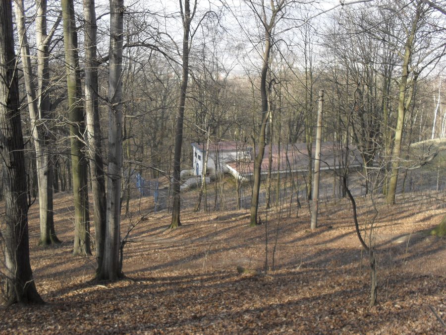 Ruines du château de Doubravská hora près de Teplice