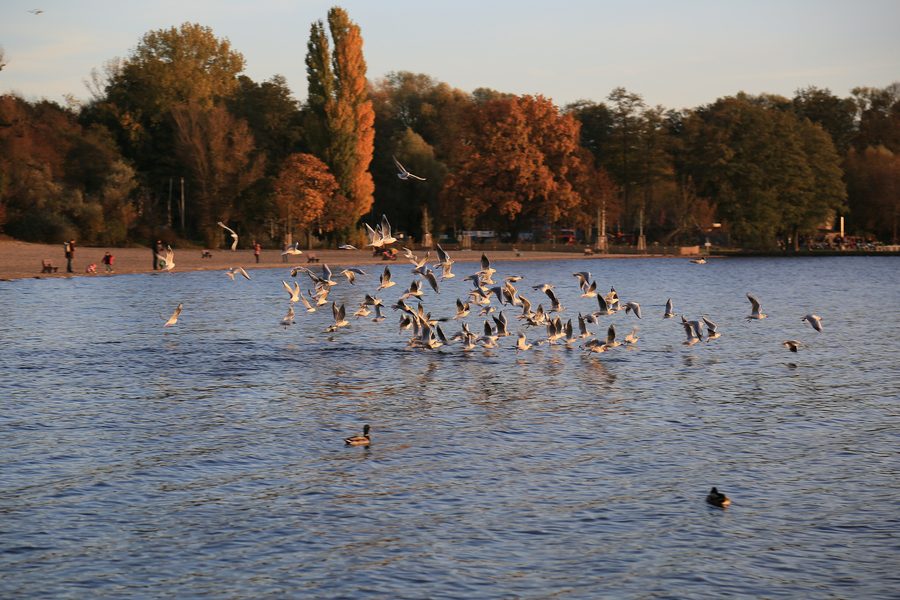 Plage du Müggelsee à Berlin-Rahnsdorf avec vue sur la plage de baignade