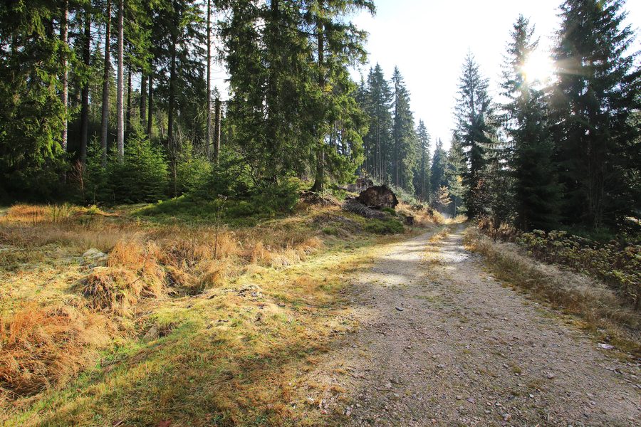 Sentier de randonnée de crête près de Wildenthal à Eibenstock