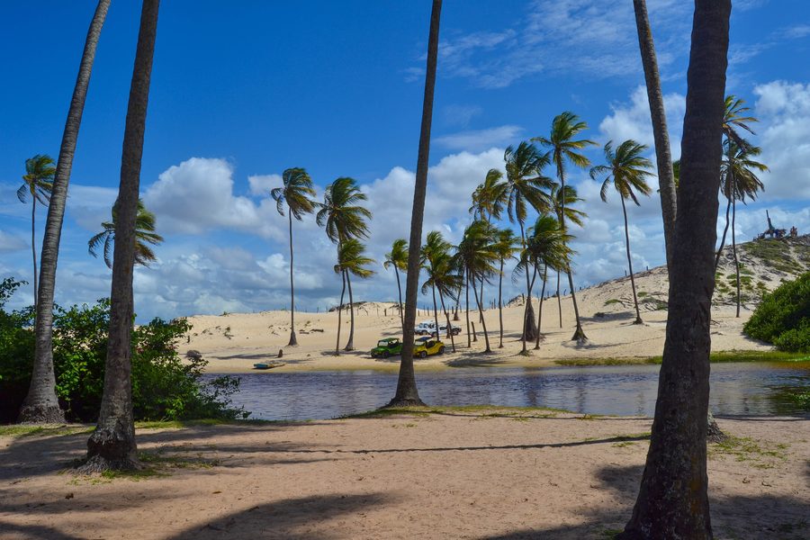 Cocotiers au Rio Punaú entre dunes et côte