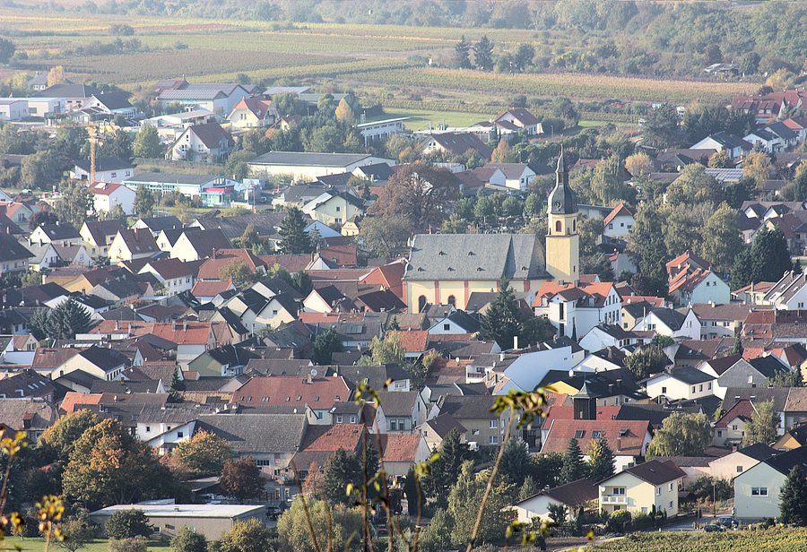 Vue depuis le Jakobsberg vers l'église Saints Pierre et Paul à Ockenheim
