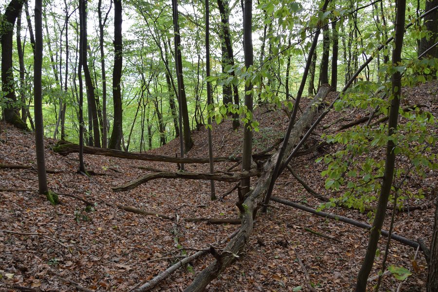 Fossé d’un site castral sur le sentier de randonnée karstique dans l’Alten Stolberg