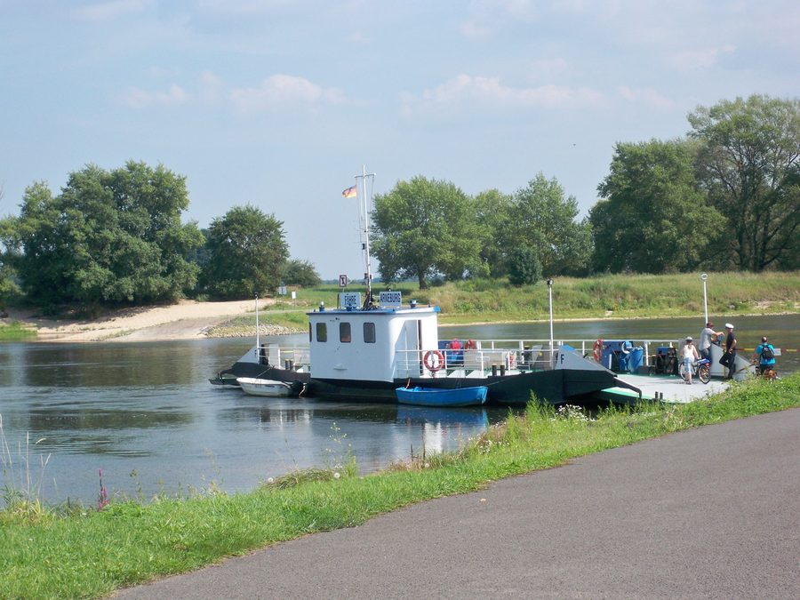 Bac sur l’Elbe près d’Arneburg en Saxe-Anhalt