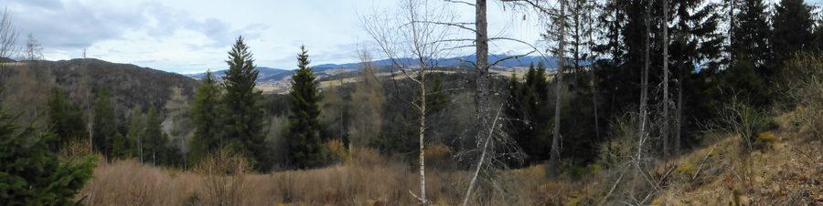 Vue depuis les ruines de Hohenwart sur le paysage près de Mühlen et la Grebenzen