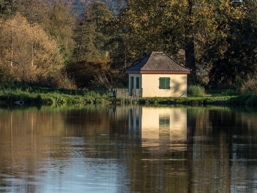 Étang à carpes avec cabane de pêche à Stegaurach