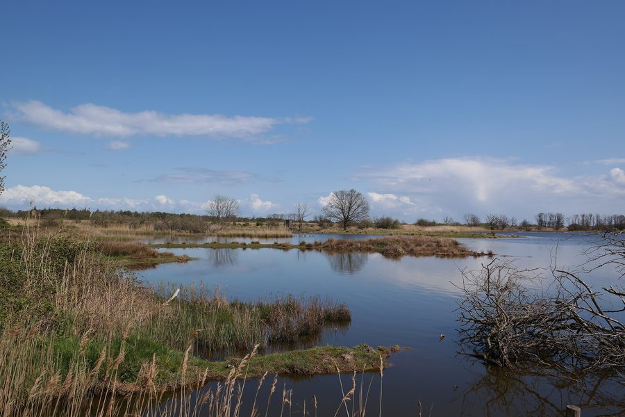 Prés salés et lagune intérieure dans la réserve naturelle de Geltinger Birk