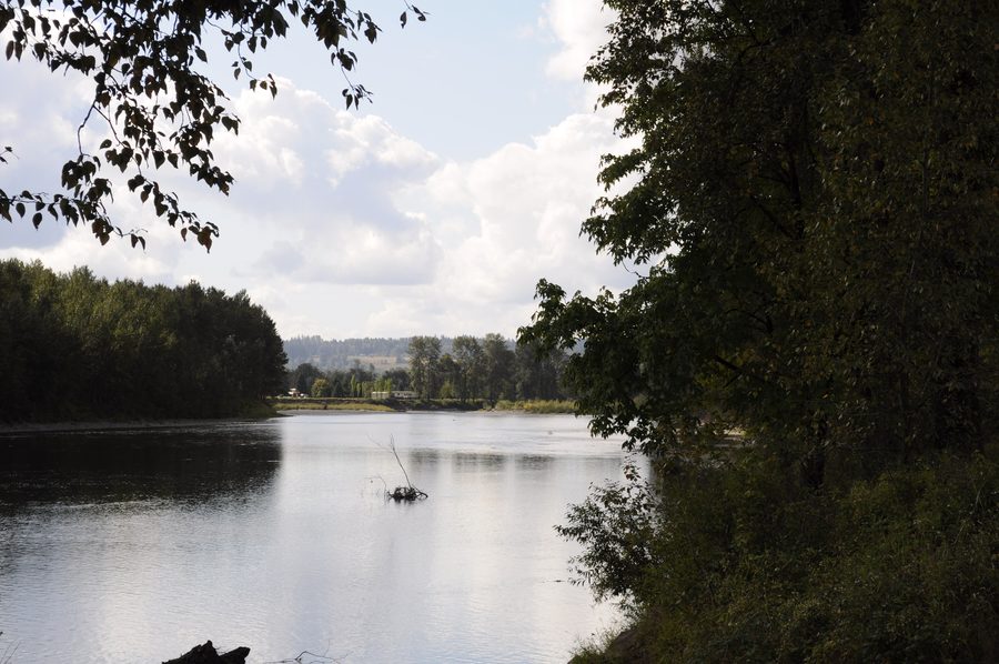 Vue en aval sur la rivière Skykomish près du pont de Lewis Street à Monroe, Washington