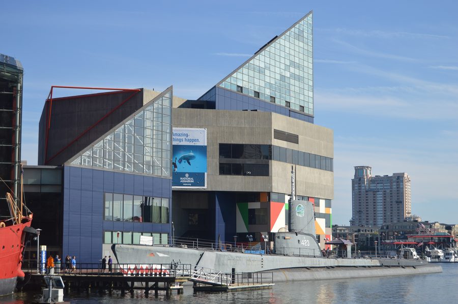 National Aquarium à Baltimore à l’Inner Harbor