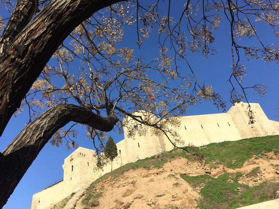 Citadelle de Gaziantep sur une colline au-dessus de la ville