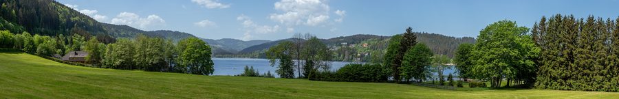 Prairie au bord du lac du Titisee avec le Feldberg en arrière-plan