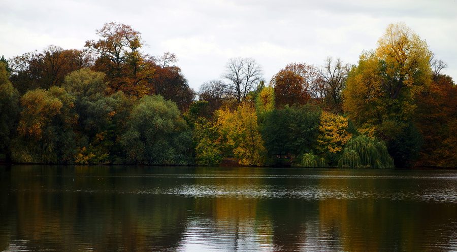 Vue sur le lac Weißer See à Berlin-Weißensee