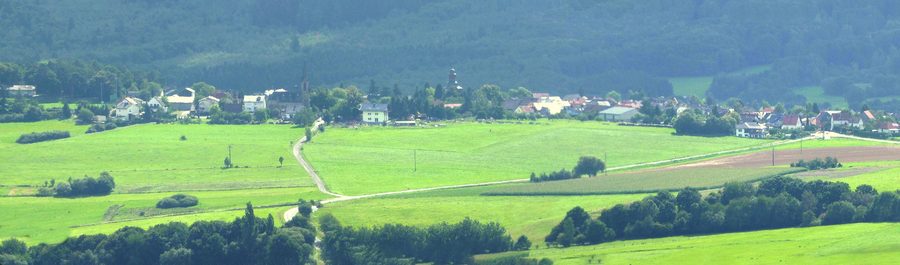 Paysage forestier près de Daxweiler dans le Soonwald-Hunsrück