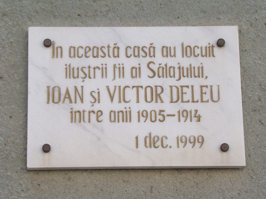 Șimleu Silvaniei, comté de Sălaj, Roumanie