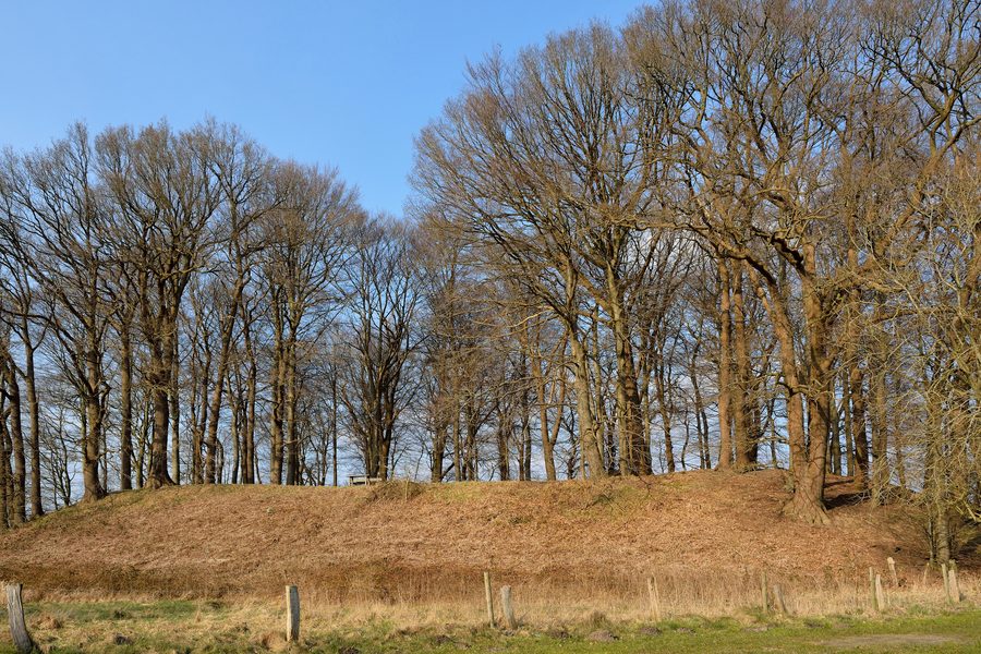 Vue extérieure du Wallberg à Willenscharen