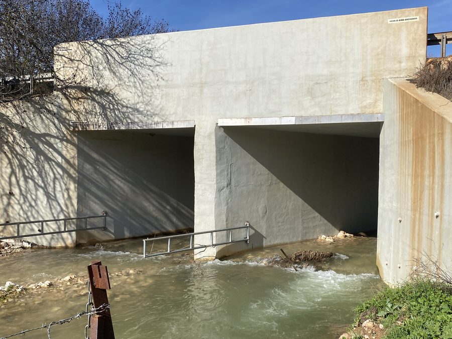 Vallée du cours d’eau Nahal Dishon dans la Haute-Galilée
