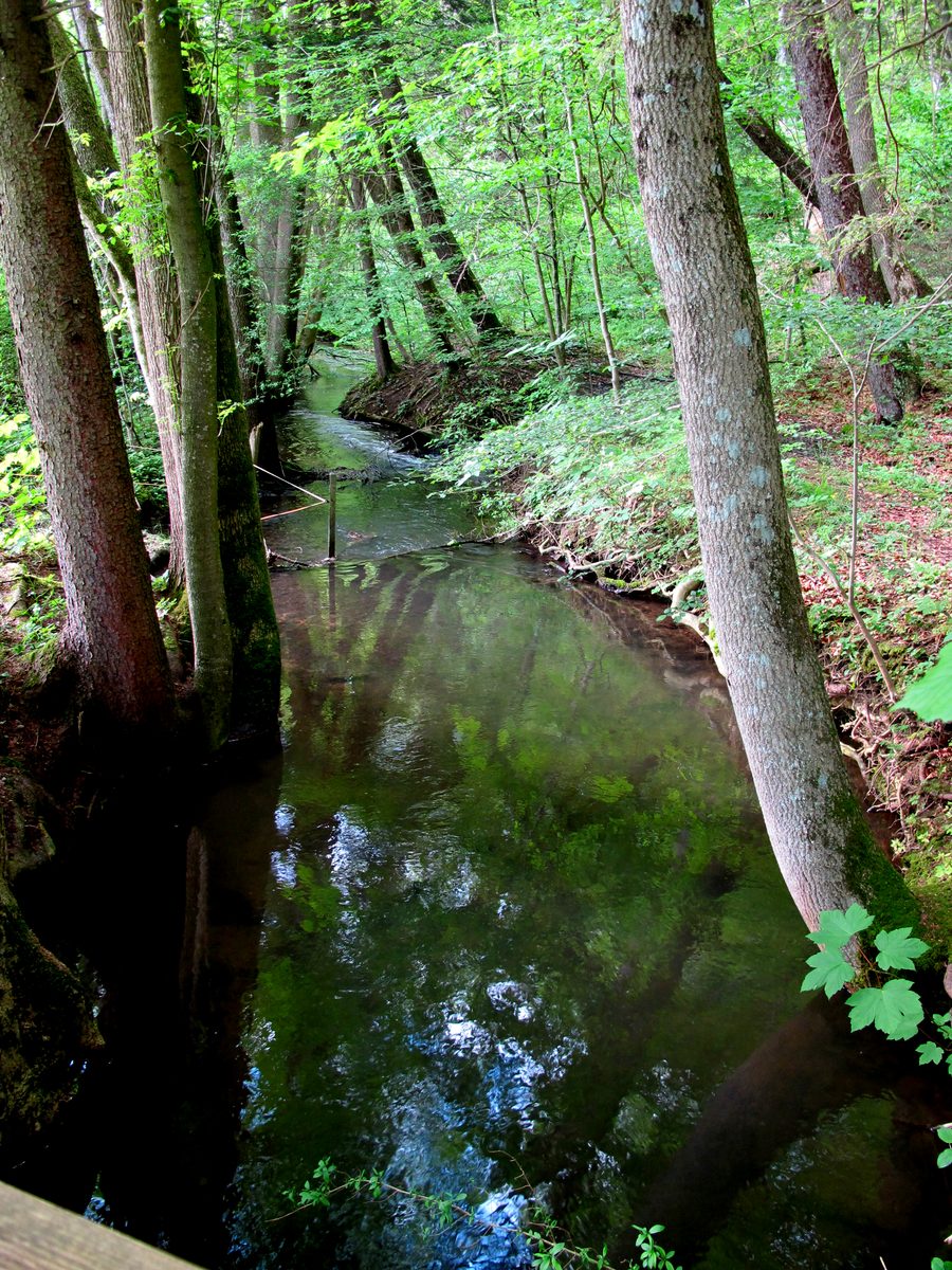 Paysage dans la vallée protégée du Kupferbach près de Glonn