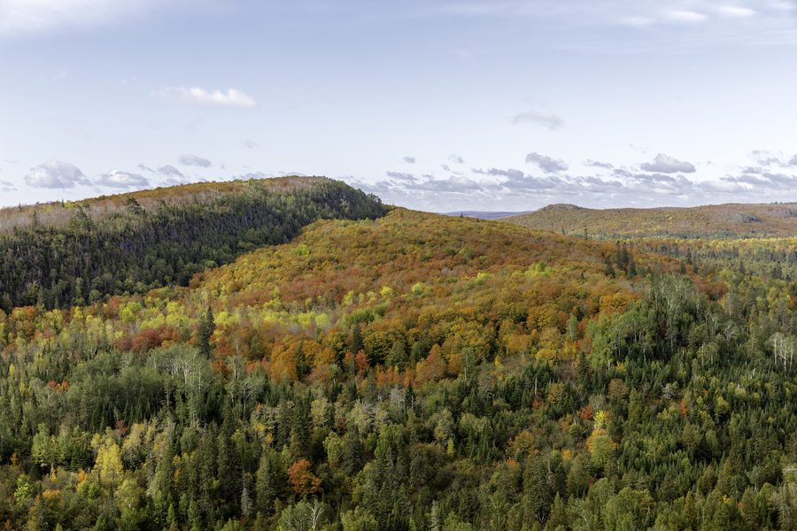 Feuillage d’automne sur Leveaux Mountain près de Tofte dans le Minnesota