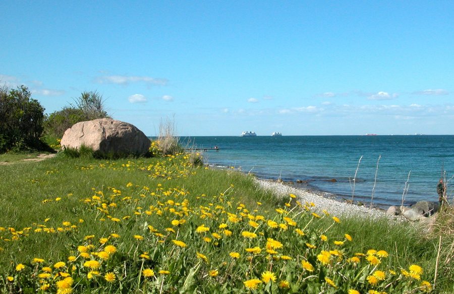 Plage nord de Fehmarn près de Marienleuchte avec des ferries à l’horizon