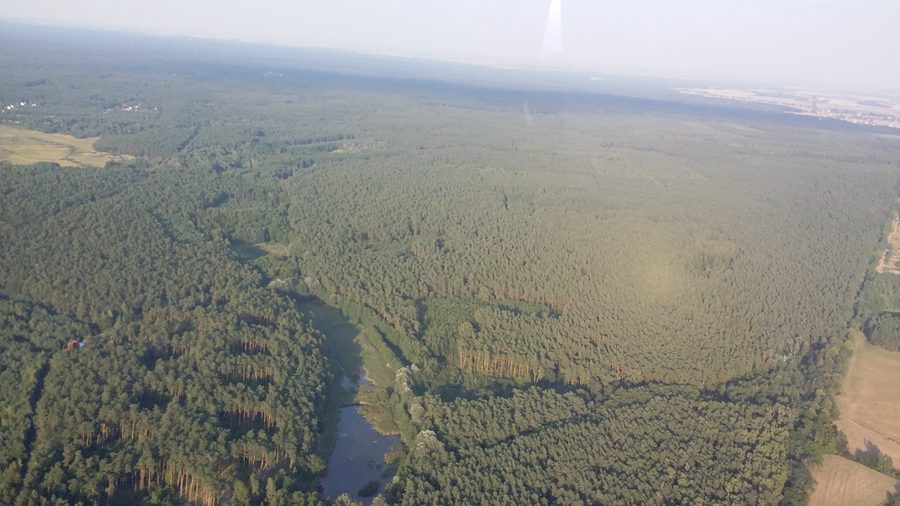 Vue aérienne de la Puszcza Zielonka près de Bolechówko