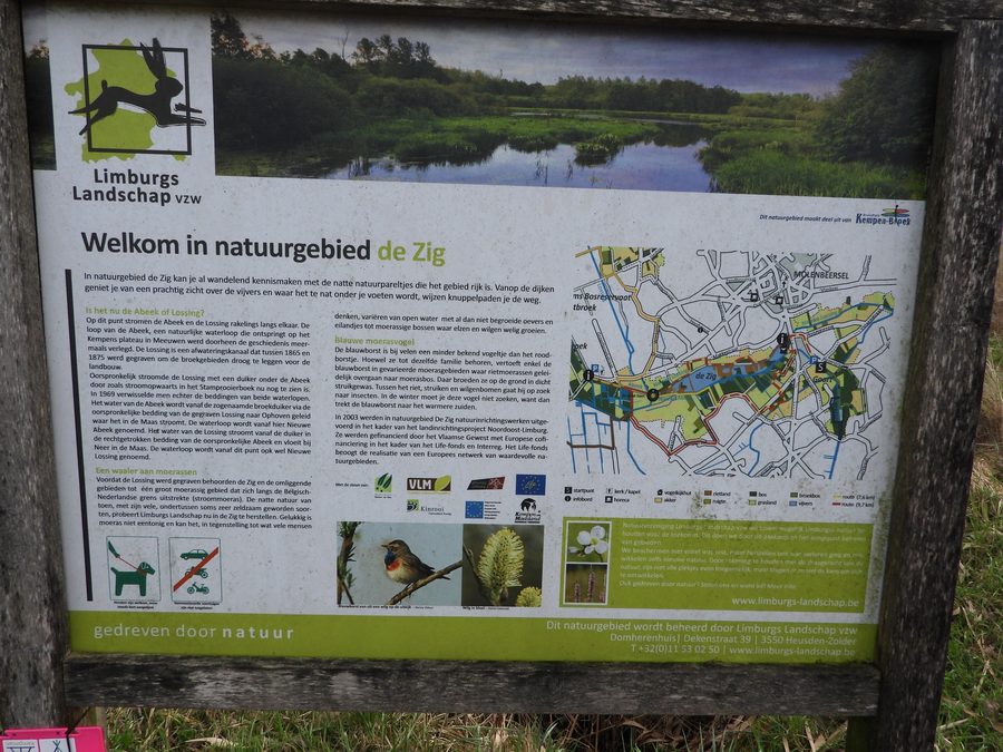 De Zig à Kinrooi, espace paysager dans le Limbourg