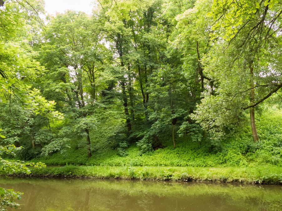 L’Oker à Kreißberg à Brunswick, entourée d’un paysage verdoyant