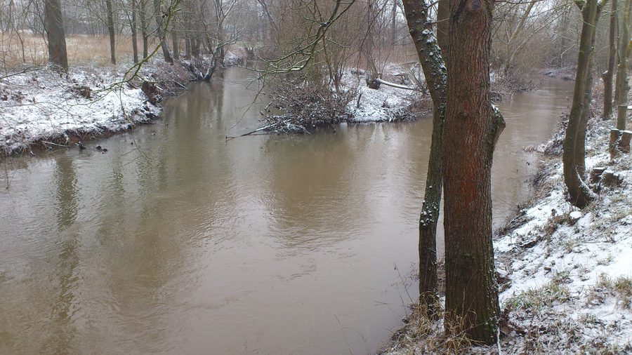 Confluence de la Milz avec la Fränkische Saale